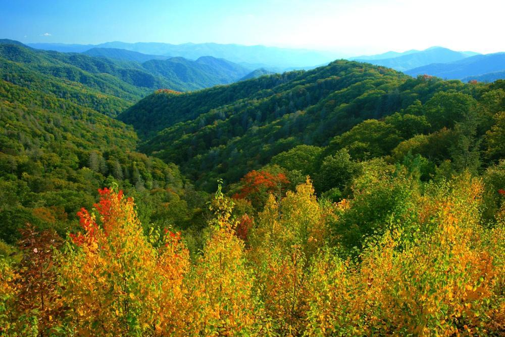 A Charming Cabin, Pool, Firepit, Hot Tub-Jacuzzi Gatlinburg Ngoại thất bức ảnh